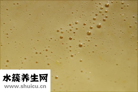 三华李怎么弄好吃