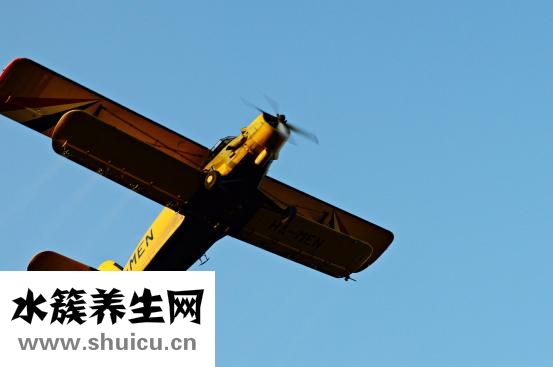 厨房发现蟑螂怎么办