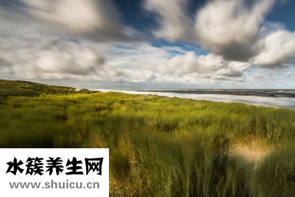 伤疤红色怎么淡化