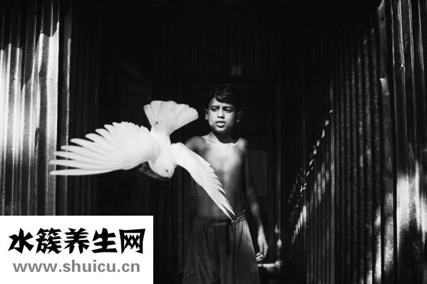 两个月宝宝怎么哄睡