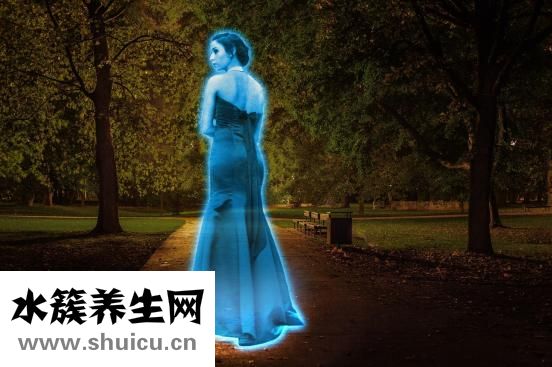 一天没大便怎么办