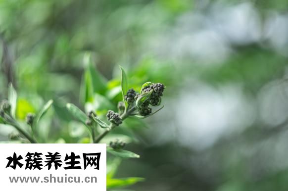 冻草莓怎么做草莓酱