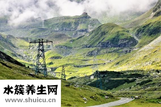 丰菌怎么翻译