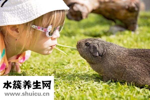 双子女怎么追天秤男