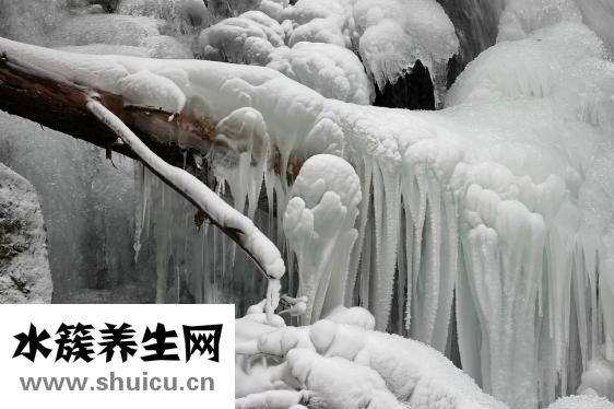 冷冻汤圆怎么煮