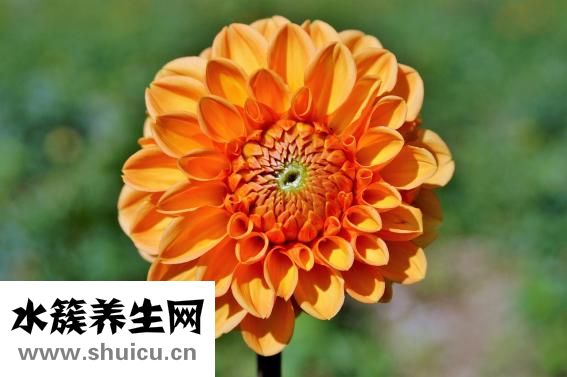 丝袜怎么洗