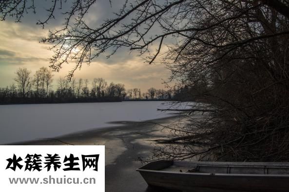 冷冻汤圆怎么煮