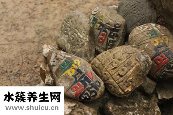 佛手观音花怎么养殖