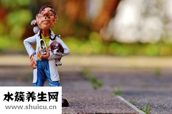 体内驱虫药怎么喂