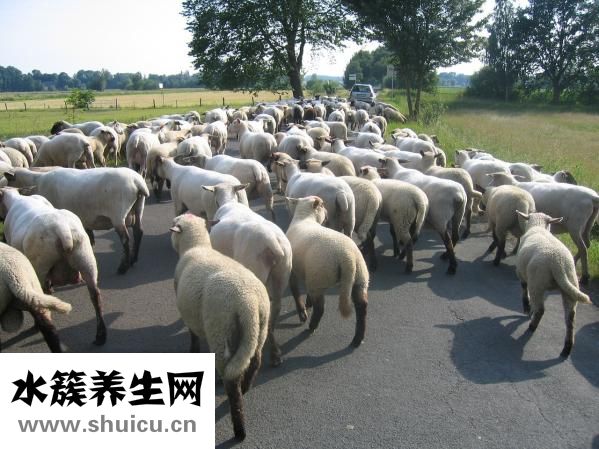 冷冻螃蟹怎么解冻