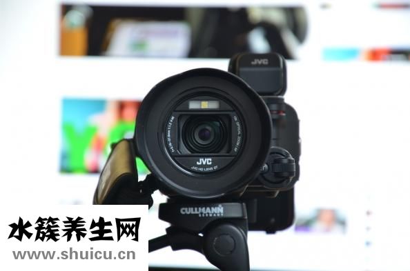 代购怎么做到哪拿货