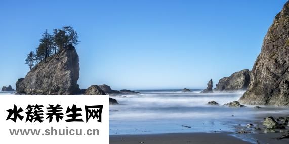 不认识字怎么办
