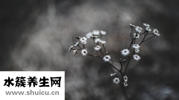 人怎么修炼成魔