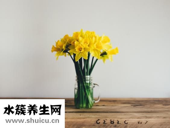 一天没大便怎么办