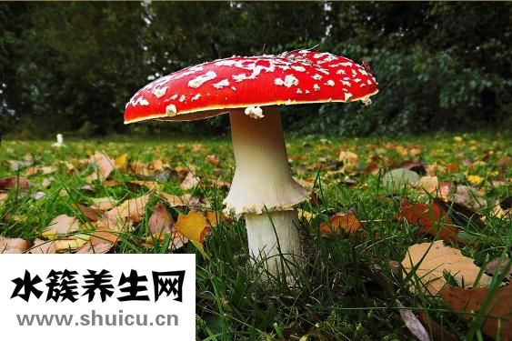 体虚肝火旺怎么调理
