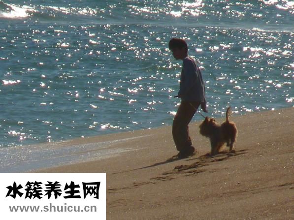 儿童流鼻血怎么止血