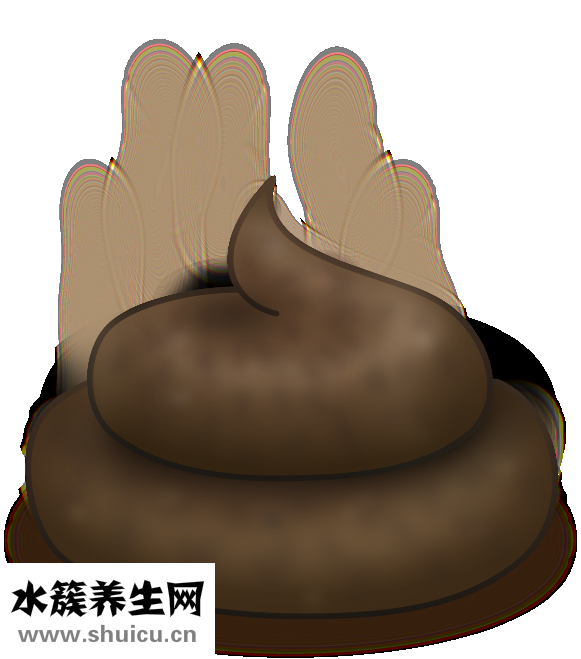 养猫过敏怎么办