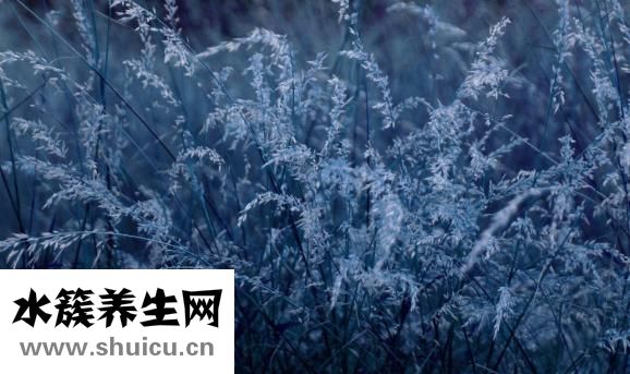 三星手机怎么打加号