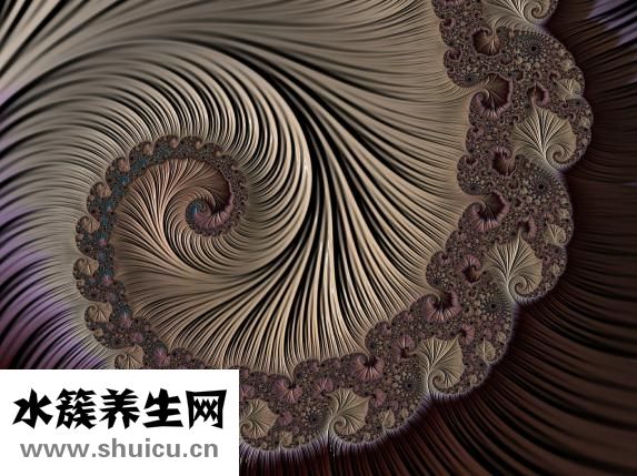 刘海怎么搭理