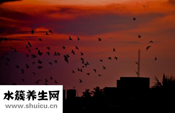 非常人脉加人怎么进