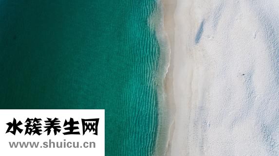 怎么治婆婆不带孩子