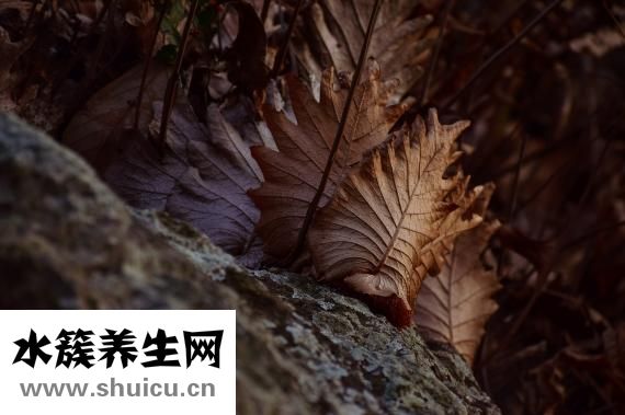嗓子一侧疼怎么办