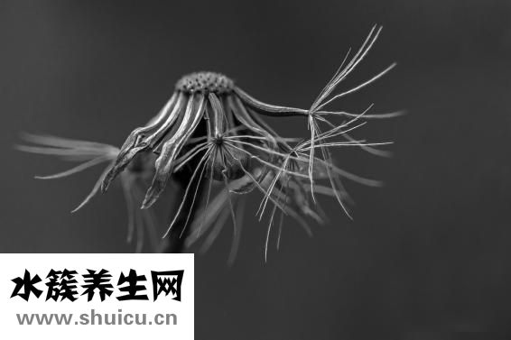 太极推手怎么练