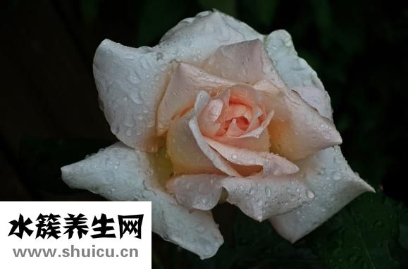 做梦多怎么办