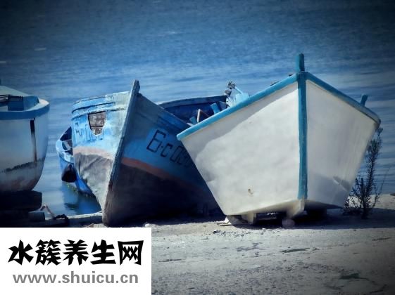 发夹怎么修