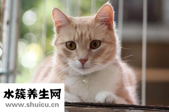 受不鸟怎么办