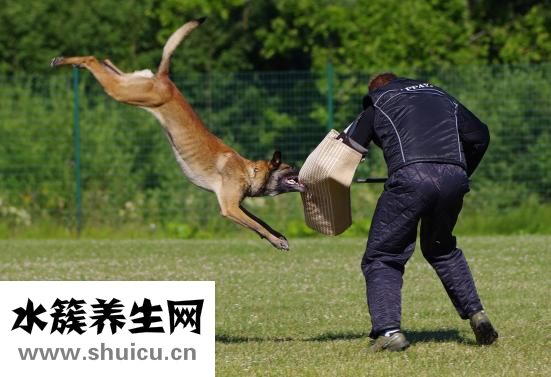 化疗后骨头痛怎么办