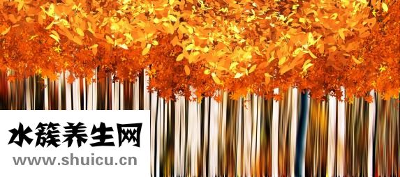 太极推手怎么练