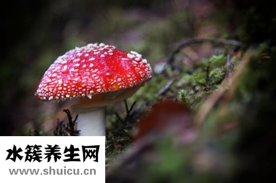 体虚肝火旺怎么调理