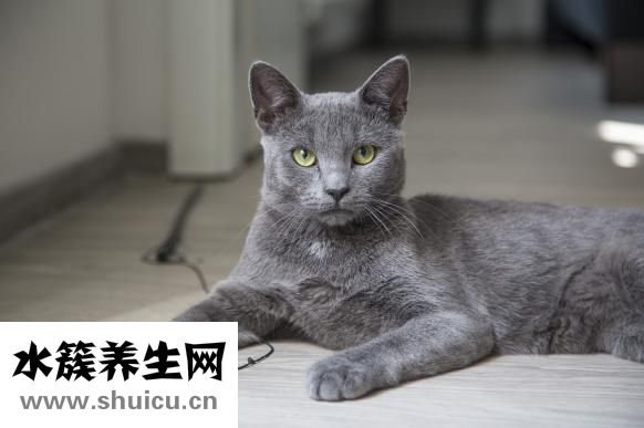 养五笔是是怎么拆的