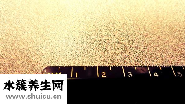 三星手机怎么打加号