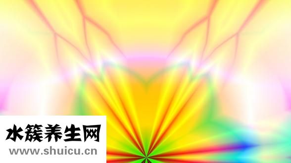 何手乌怎么吃