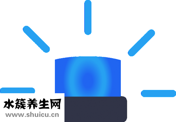 中药药引子怎么用
