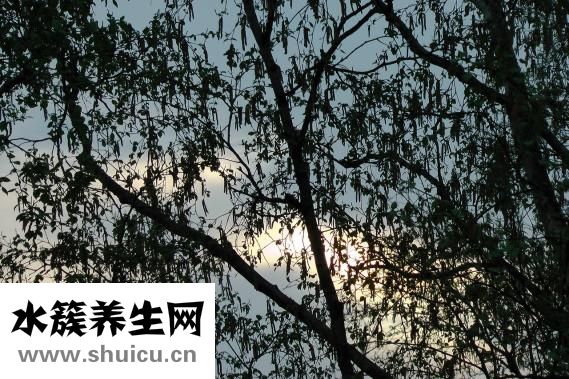 儿童老打嗝怎么办