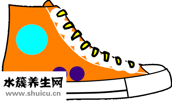 南洋人参怎么吃