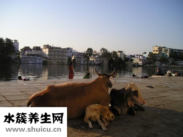 导师不牛怎么办