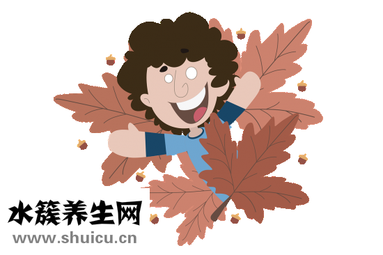 儿子英语怎么写