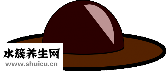 冬天头皮痒怎么回事