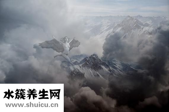 何手乌怎么吃