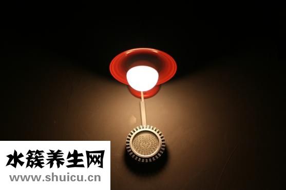 板栗怎么煮熟