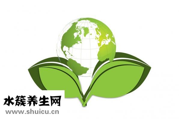加标回收率怎么做