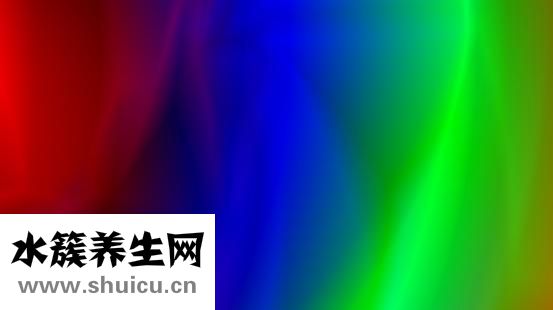 痰怎么查真菌