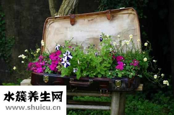 熟鸭肉怎么做