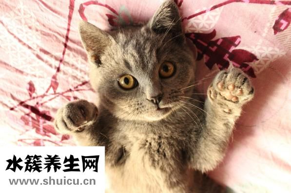 冬天宿舍太冷怎么办