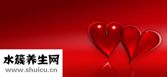 圣诞红怎么种植