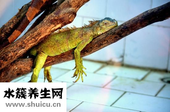 羽绒衣怎么清洗